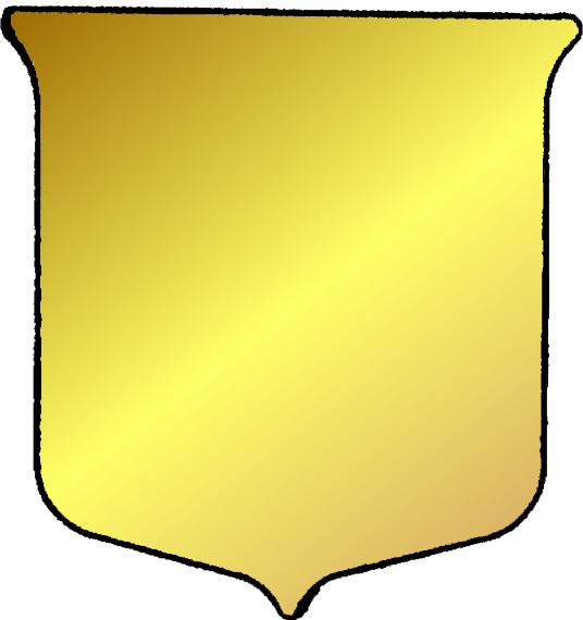 Shield #6 - 35mm x 33mm