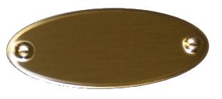 Brass Decorative Plate - 48mm x 20mm